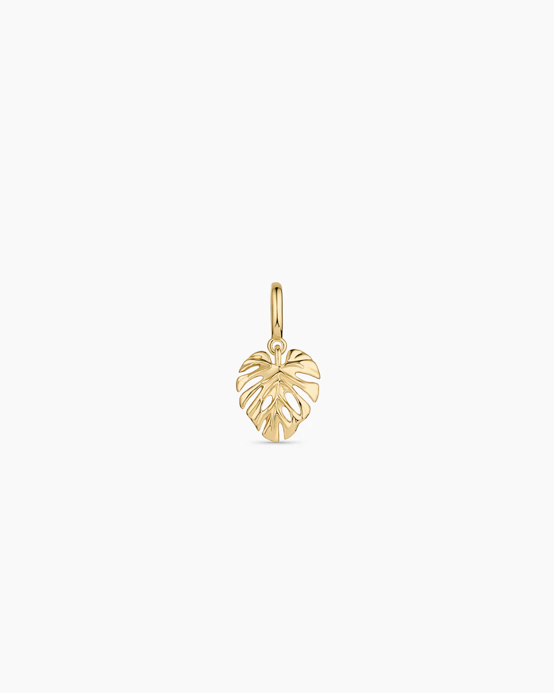 New Jewelry